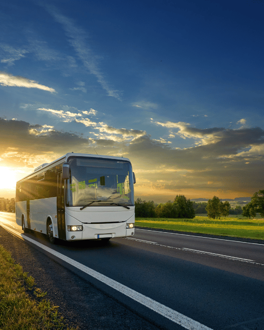 bustransport 2